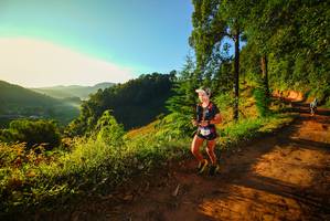 BIB: 
                            <button type="button" onclick="openModal(19169246)" class="btn btn-primary btn-sm float-right btn-popup" data-toggle="modal" data-target=".modal-high-quality">
                        <i class="fas fa-shopping-cart"></i> Add to Cart
                    </button>
                                            <button type="button" onclick="isThisMe(19169246, true)" class="btn btn-success btn-sm float-right btn-popup btn-isme hidden" data-toggle="tooltip" data-placement="bottom" title="นี่คือรูปของคุณใช่ไหม คลิกที่นี่เพื่อเอาเข้าอัลบั้ม">
                        <i class="fas fa-plus"></i> Add to album
                    </button>
                    <button type="button" onclick="isThisMe(19169246, false)" class="btn btn-warning btn-sm float-right btn-popup btn-isnotme hidden">
                        <i class="fas fa-ban"></i> Remove from album
                    </button>